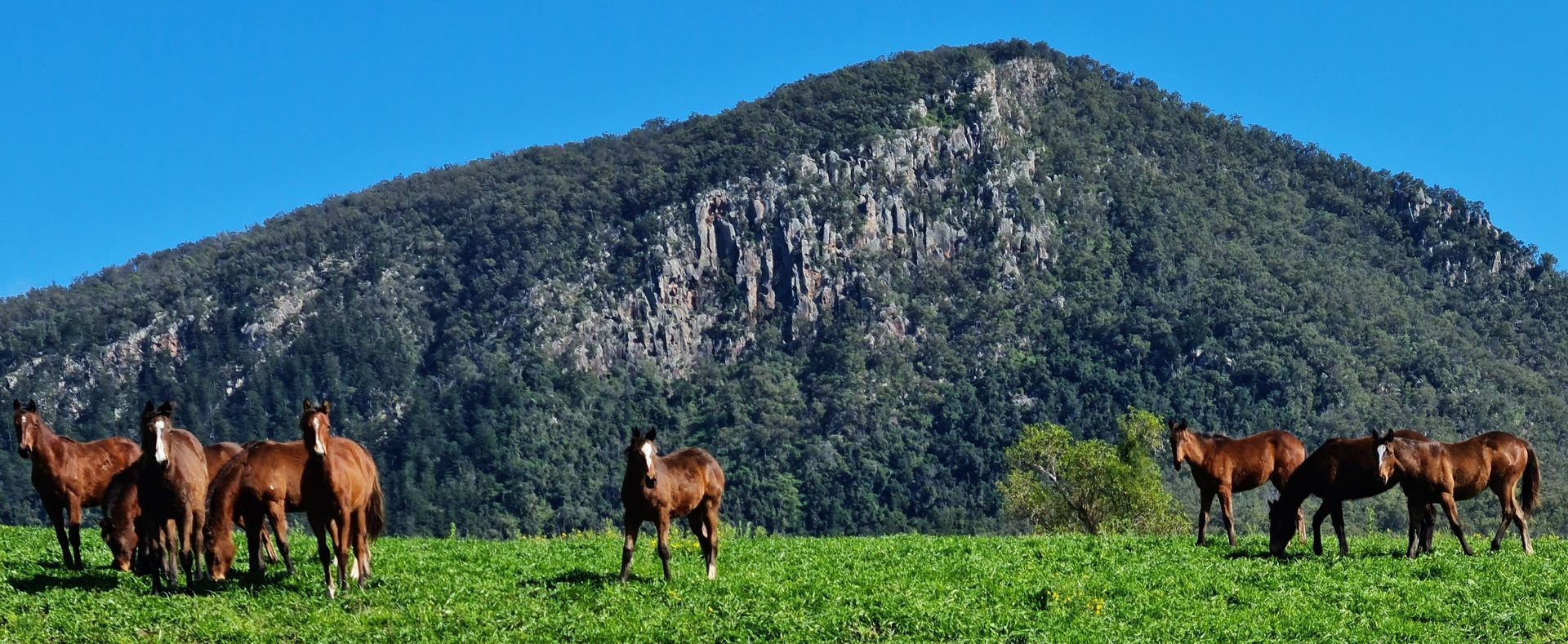 The Mountain Source